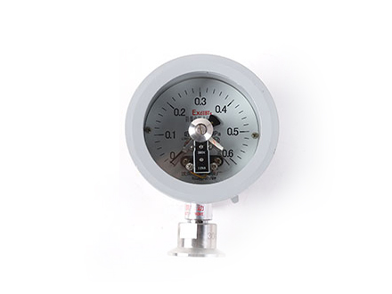 YTXF-100-B 衛生型防爆電接點壓力表