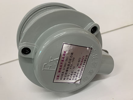 YTDAX-100-B 粉塵防爆電接點壓力表