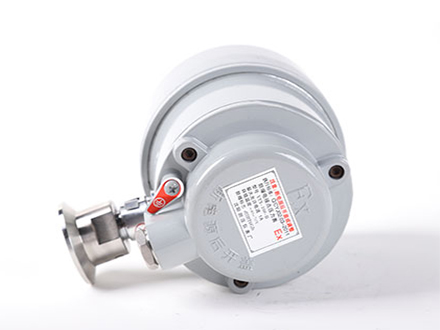 YTXF-100-B 衛生型防爆電接點壓力表